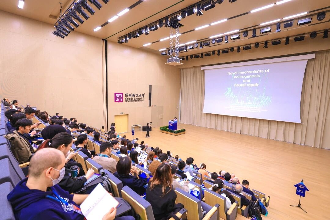 领航全球神经科学协同发展！第二届粤港澳大湾区神经科学会议在深圳理工大学落幕