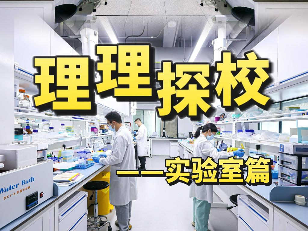 理理探校 | 实验室开箱：在试错与突破中触摸学术新可能