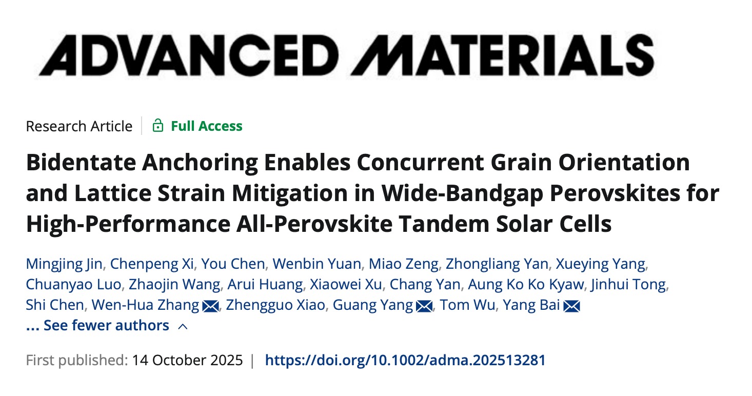 Advanced Materials|深圳理工大学白杨团队联合发表钙钛矿叠层光伏研究新成果