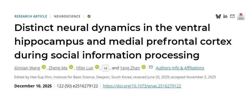 PNAS︱深圳理工大学詹阳团队解密“社交脑”：腹侧海马与前额叶皮层如何分工处理社交信息