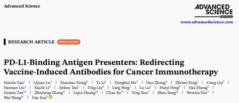 肿瘤治疗耐药又低效？深圳理工大学团队让抗病毒免疫力成为实体肿瘤治疗新助力