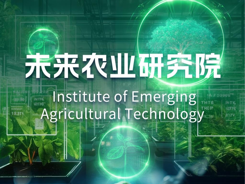 Institute of Emerging Agricultural Technology-Construction and application of biomass-based functional assemblies