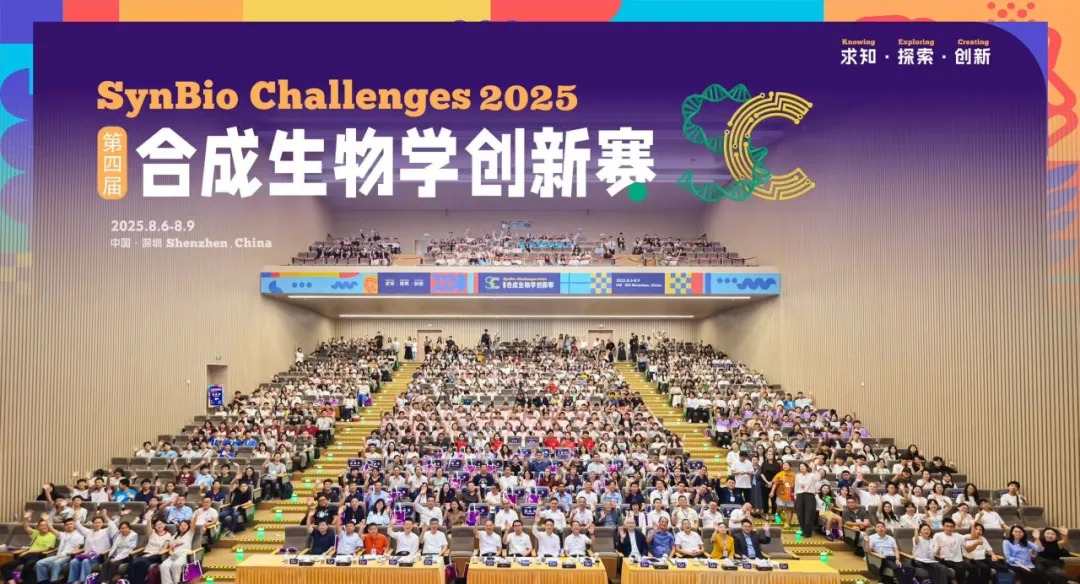 联合国“科学十年”首批项目公布！深圳理工大学项目入选