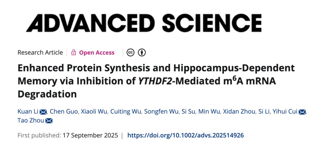 Advanced Science | 深圳理工大学周涛团队合作揭示认知障碍治疗的可能新靶点